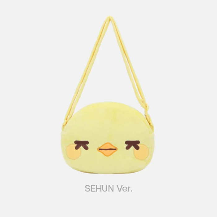 [PRE-ORDER] EXO - Fanlight Bag [2026 'EXO PLANET #6 EXhOrizon' Official MD] - Image 7