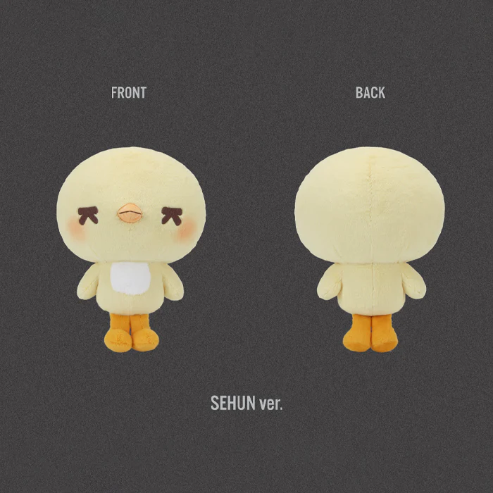 [PRE-ORDER] EXO - Hug Doll [2026 'EXO PLANET #6 EXhOrizon' Official MD] - Image 7