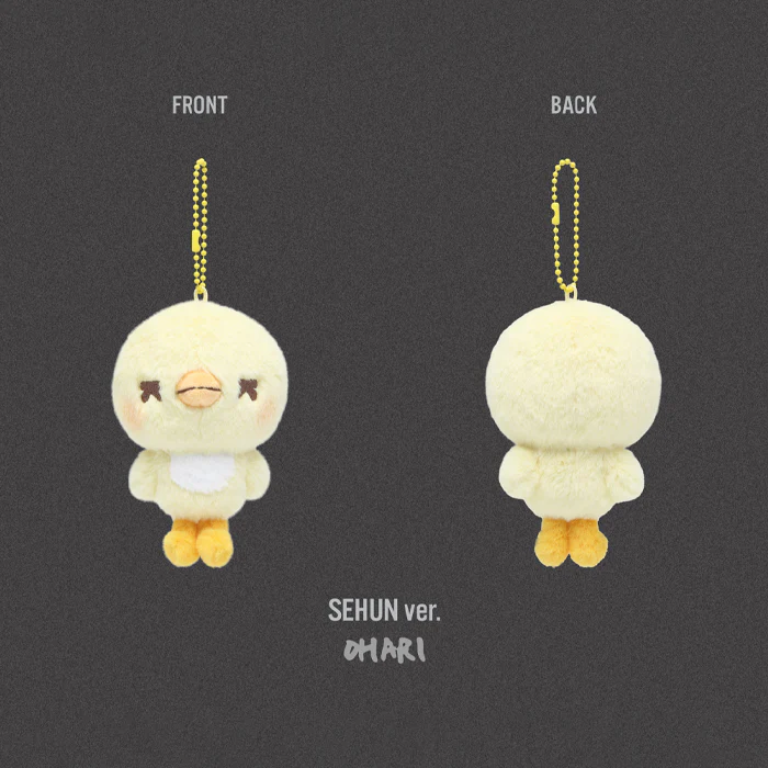 [PRE-ORDER] EXO - Mini Doll Keyring [2026 'EXO PLANET #6 EXhOrizon' Official MD] - Image 7