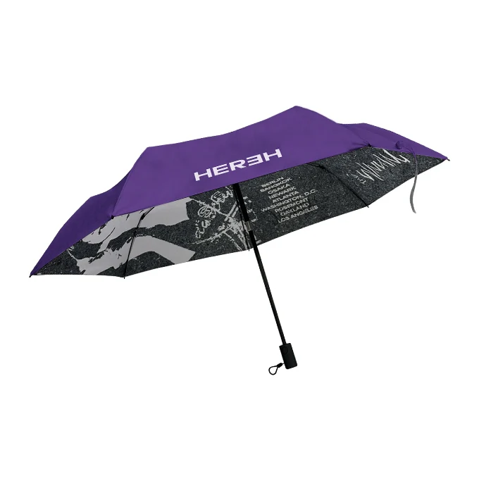 IU - The Winning Umbrella ['THE WINNING' 2024 HEREH World Tour Concert Encore Official MD]