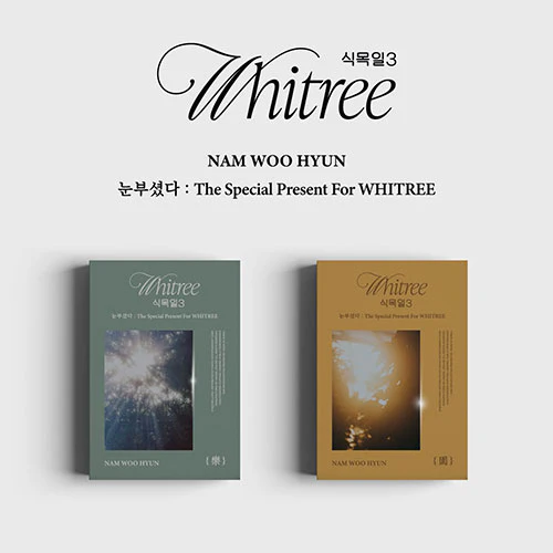 Nam Woo Hyun - 눈부셨다 : The Special Present For WHITREE [식목일 3 Live Ver.]