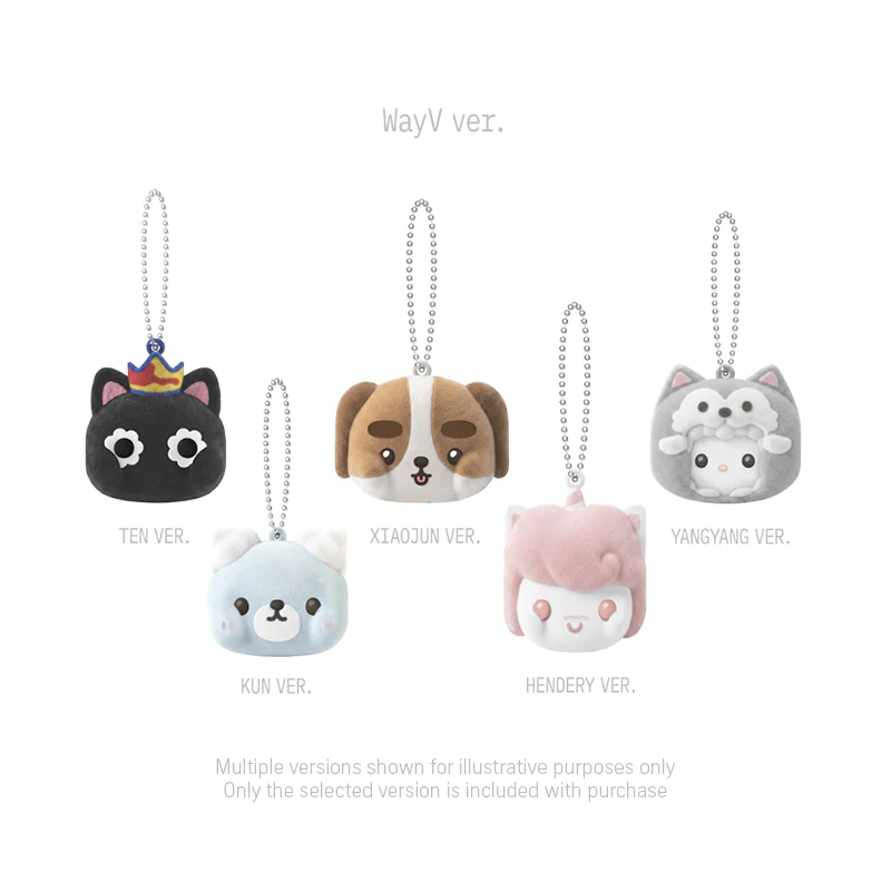 [PRE-ORDER] NCT - Magnetic Keyring [2026 NCT 10th Anniversary 'NEO GROUND' POP UP Official MD] - Image 5
