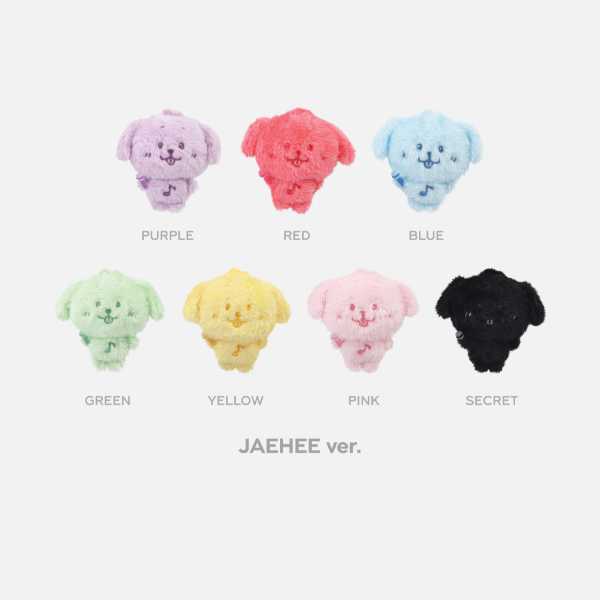 NCT WISH - Random Color WISH DOLL [FIND YOUR COLOR POP-UP Official MD] - Image 5