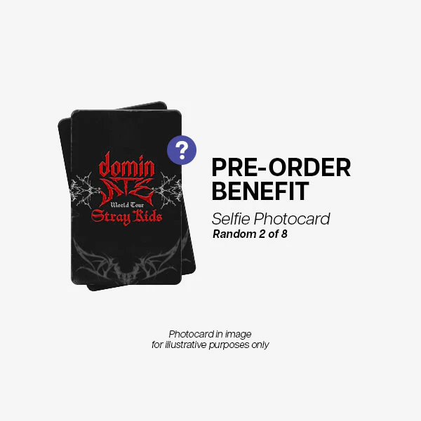 Stray Kids - T-Shirt ['dominATE SEOUL' World Tour Official MD] - Image 2